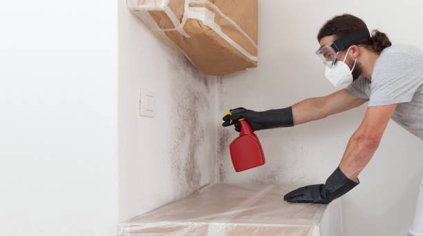 Professional Bathroom Mold Removal technician working in Montgomeryville, PA