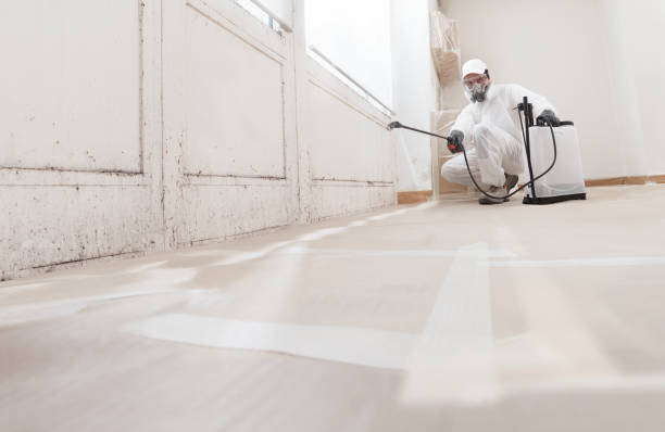 24/7 Emergency Bathroom Mold Removal experts in Montgomeryville, PA